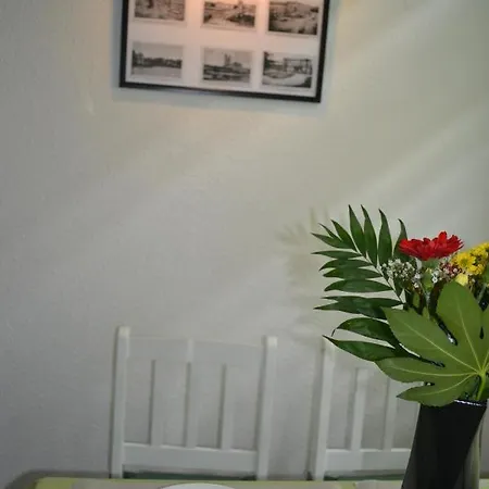 Apartment Editha Wohnung Im Eg Zentrumsnah Magdeburg Exterior photo